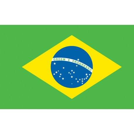 Pavillons & drapeaux Brésil