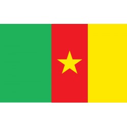 Pavillons & drapeaux Cameroun