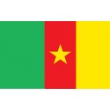 Pavillons & drapeaux Cameroun