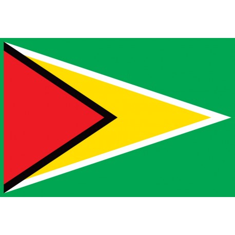 Pavillons & drapeaux Guyana