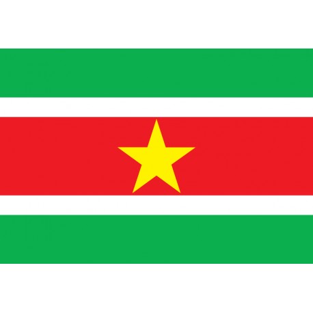 Pavillons & drapeaux Surinam
