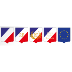 Ecusson porte-drapeaux France avec RF et palmes
