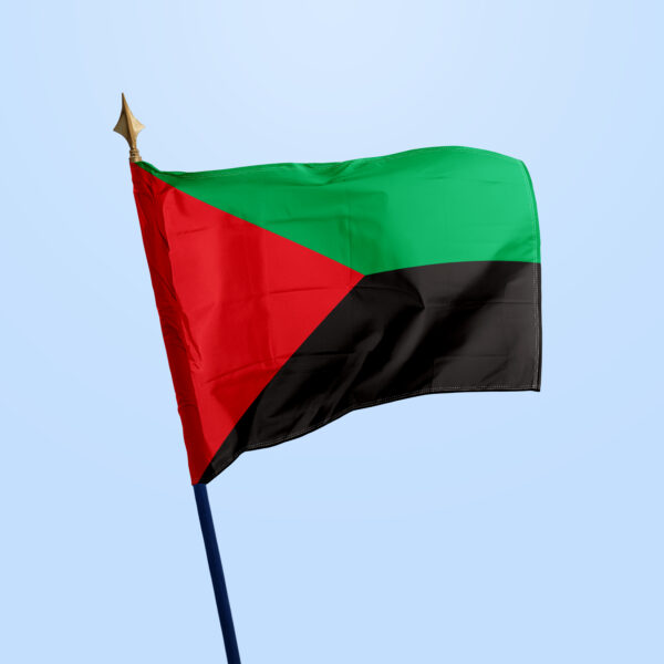 Drapeau Martinique