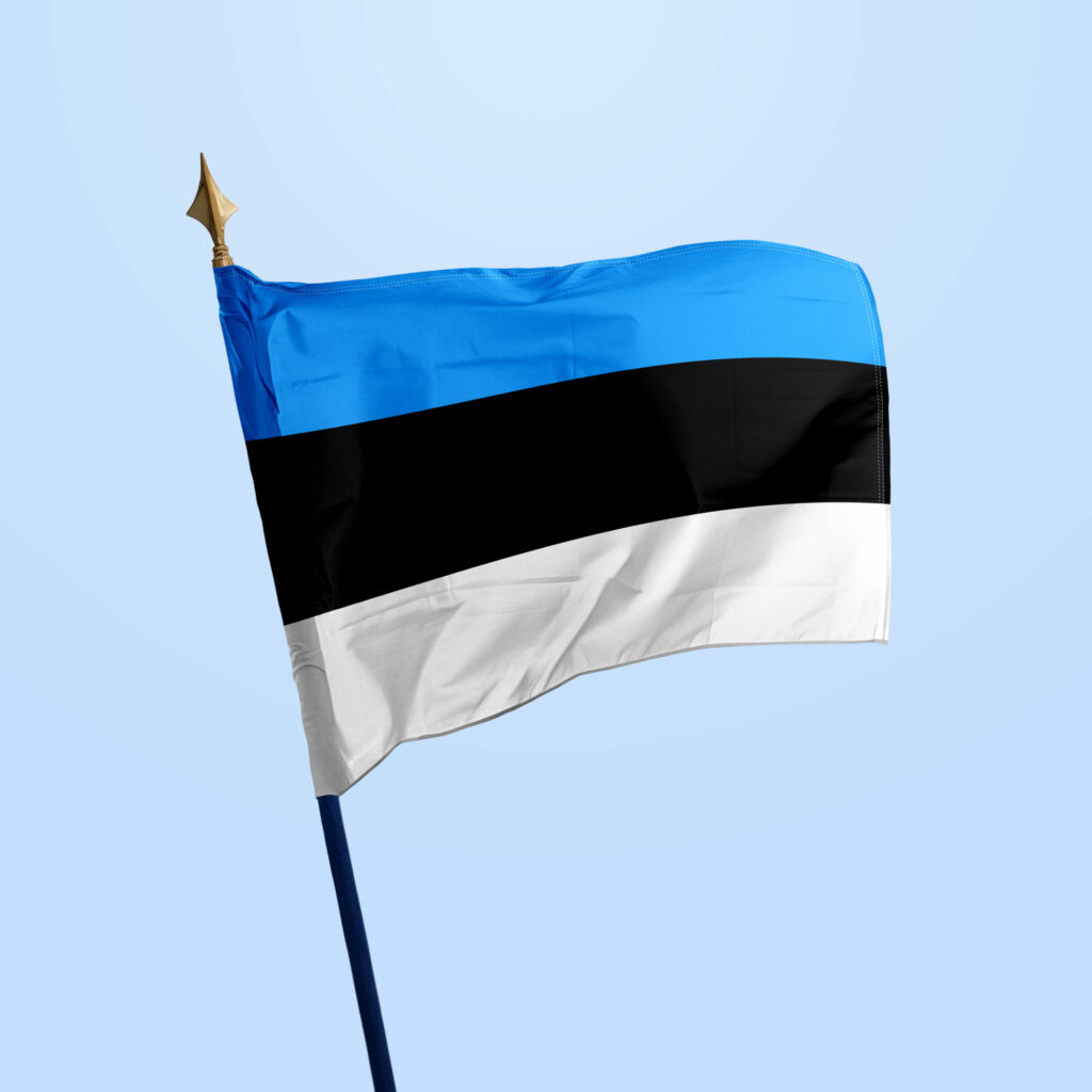 Drapeau Estonie