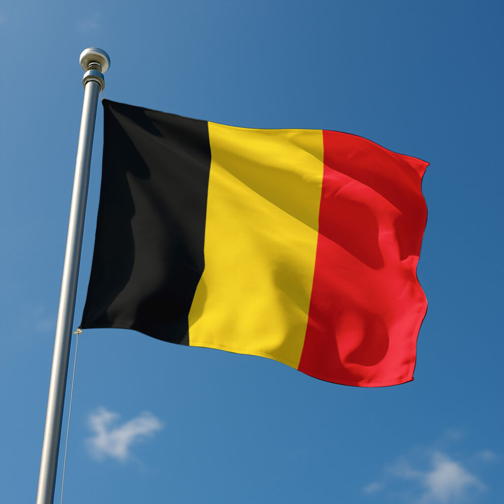 Pavillon Belgique pour mât – 50 X 75 CM